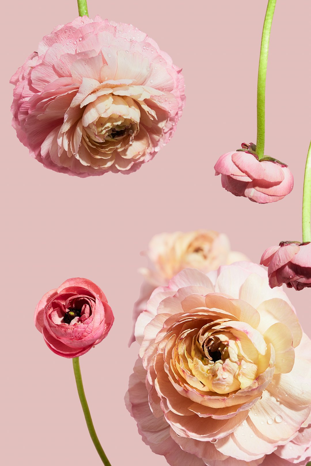 Een gedekte tafel met een lila bord waarop een beige servet ligt met een opgemaakte bloemschikking van roze en rode bloemetjes. Achtergrond toont een glas en bestek.